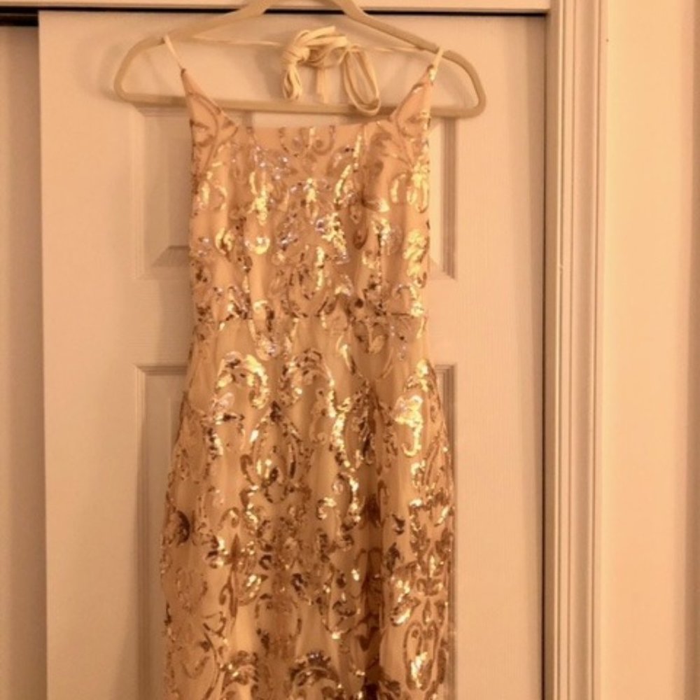 "Leila sequin dress" from the site Windsor.